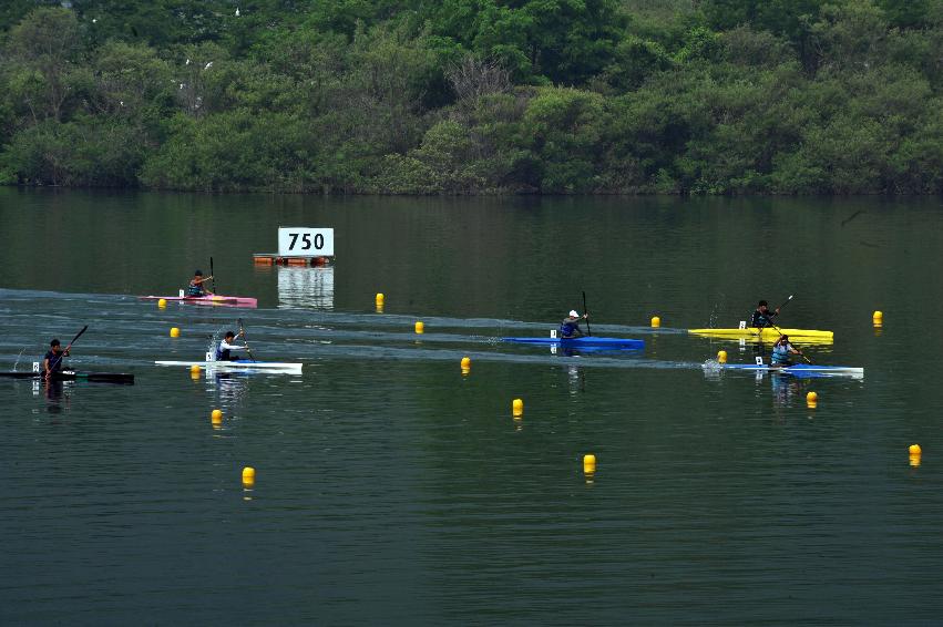 2012년 제11회 파로호배 전국카누경기대회 의 사진