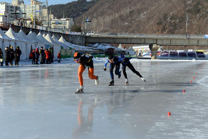 2013 제45회 백곰기 전국초등학교 빙상경기대회 의 사진
