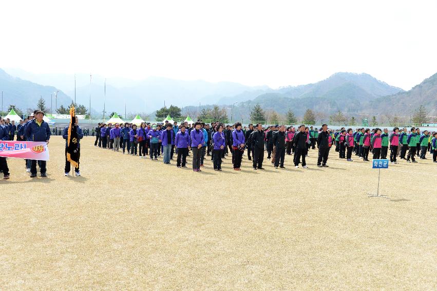 2013 제13회 4개군 이장가족 한마음 체육대회 개회식 의 사진