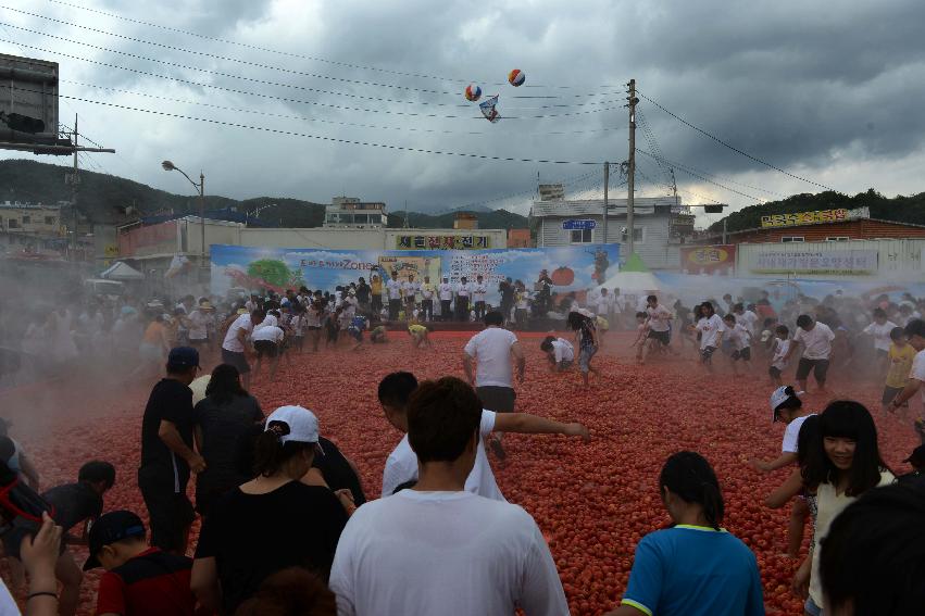 2013년 토마토축제 사진