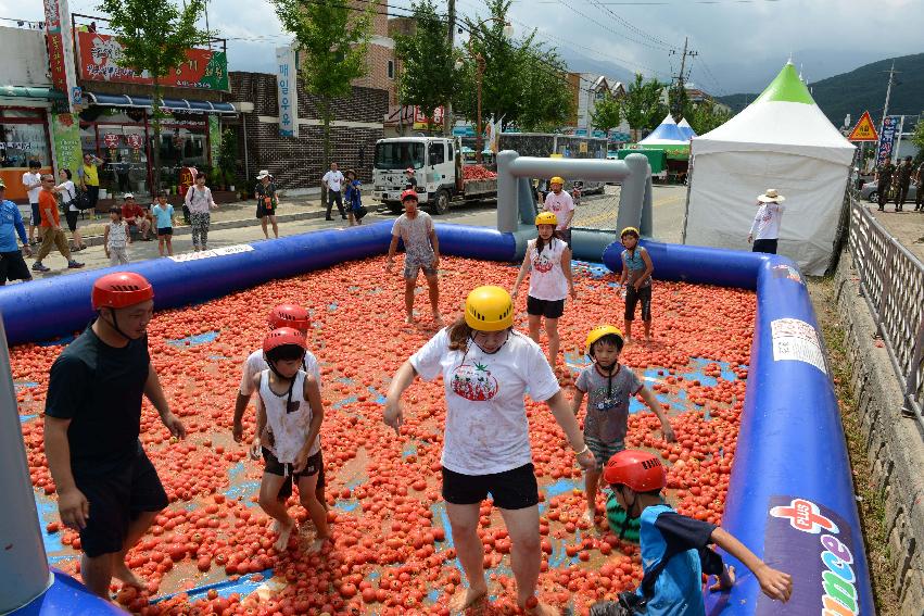 2013년 토마토축제 의 사진