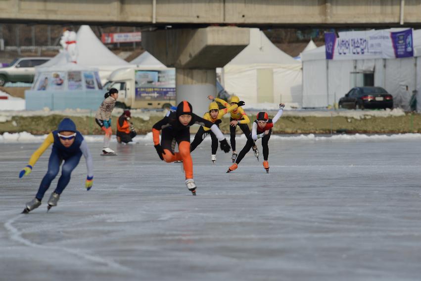 2014 제46회 백곰기 전국초등학교 빙상대회 사진