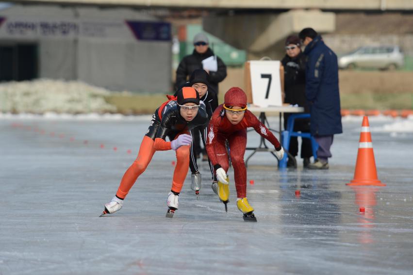 2014 제46회 백곰기 전국초등학교 빙상대회 의 사진