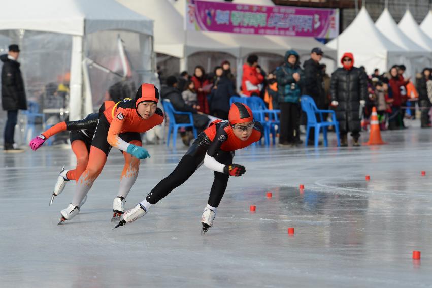 2014 제46회 백곰기 전국초등학교 빙상대회 의 사진