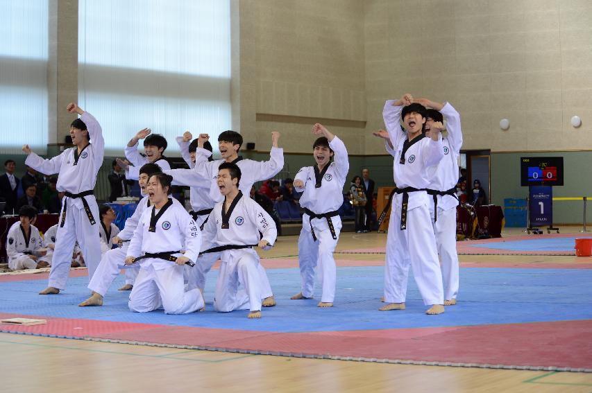 2014 제37회 강원도협회장기 태권도 대회 의 사진