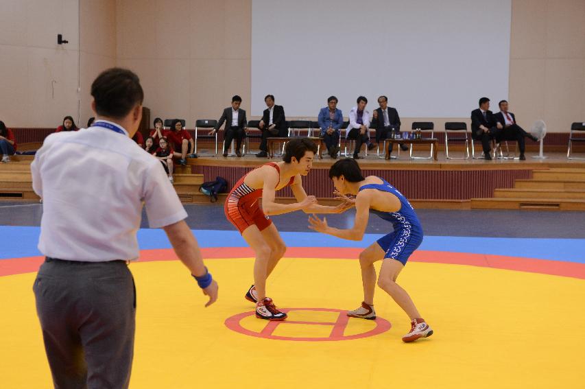 2014 제49회 강원도민 체육대회 참가선수단 경기 의 사진
