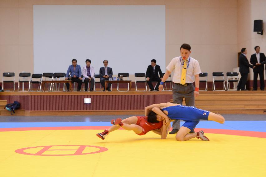 2014 제49회 강원도민 체육대회 참가선수단 경기 의 사진