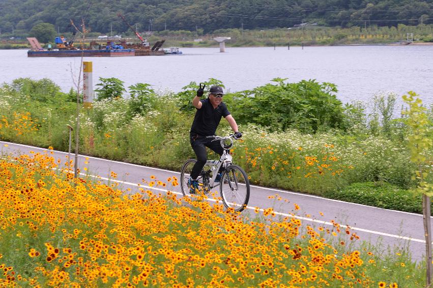 2014 군민화합 자전거 대행진 의 사진