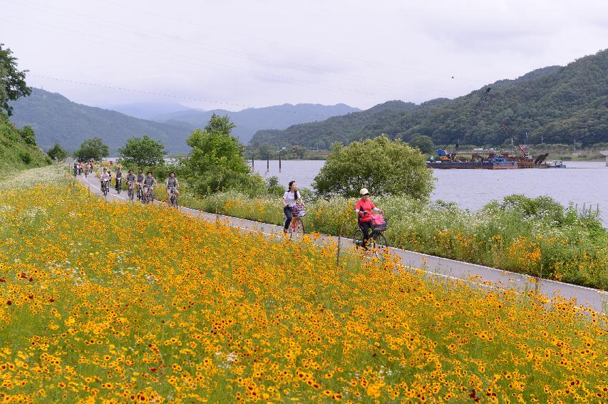 2014 군민화합 자전거 대행진 의 사진