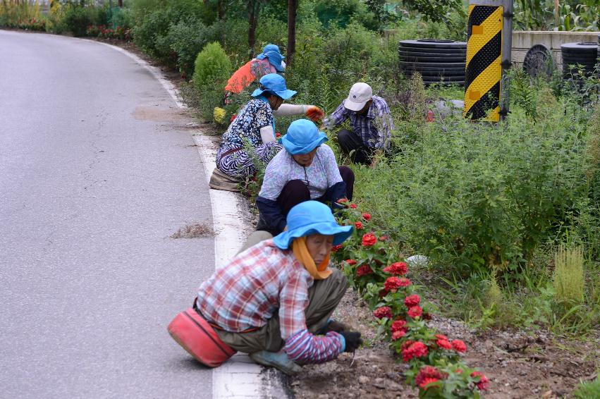 2014 하남면 논미리 새농어촌건설운동 잡초제거 작업 의 사진