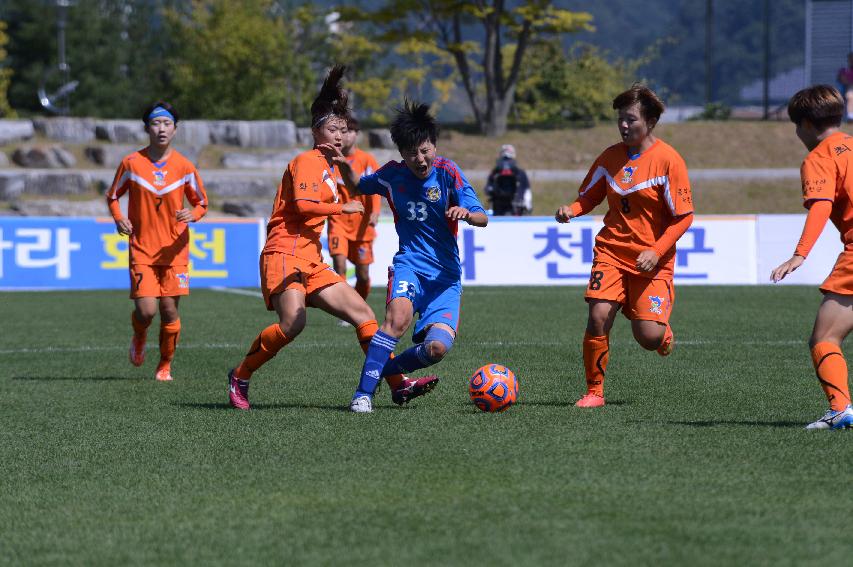 2014 추계한국여자축구연맹전 의 사진