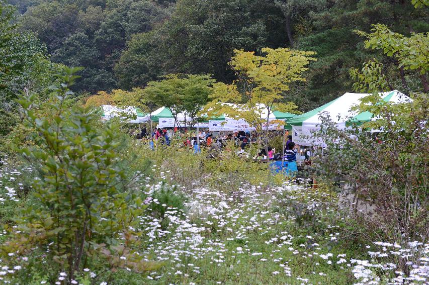 2014 동구래마을 들꽃 마당전 의 사진