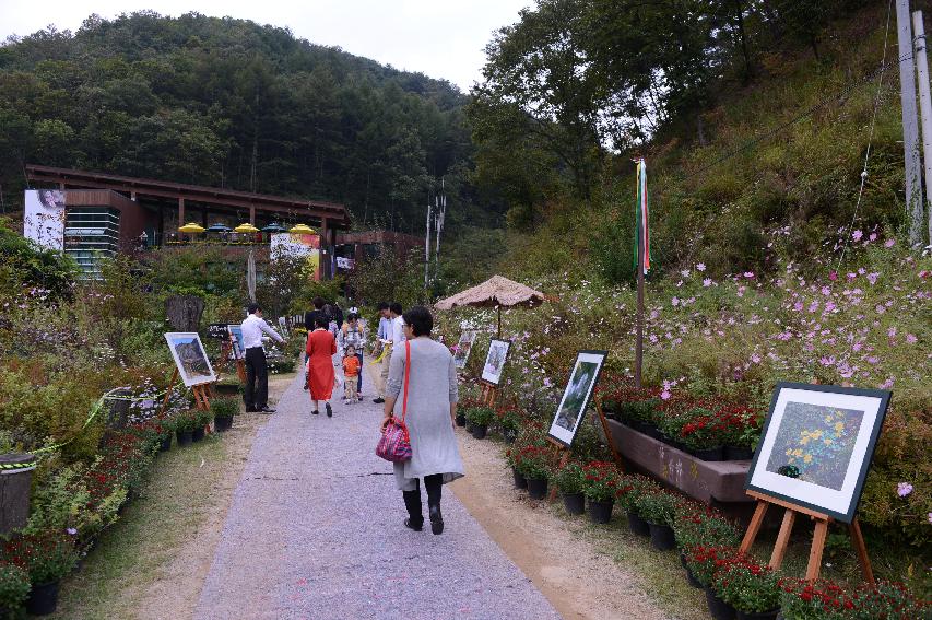 2014 동구래마을 들꽃 마당전 의 사진