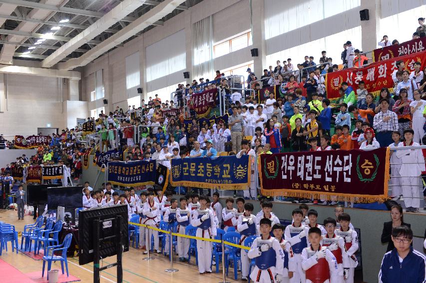 2014 전국어린이 꿈나무 태권도대회 의 사진