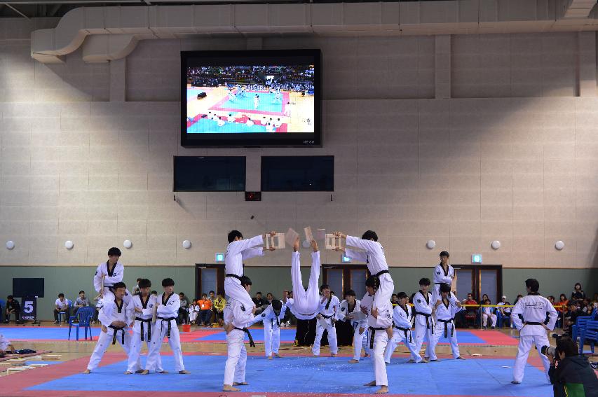 2014 전국어린이 꿈나무 태권도대회 의 사진