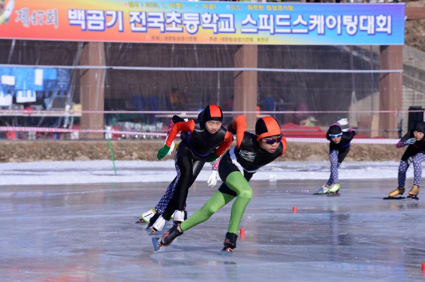 2015 제47회 백곰기 전국초등학교 스피드 스케이팅 대회 의 사진