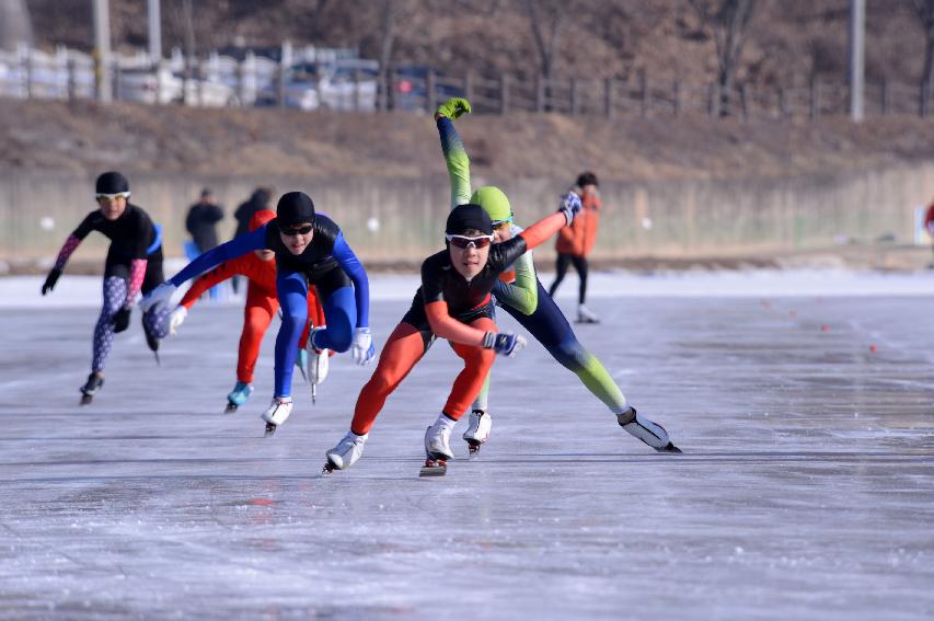2015 제47회 백곰기 전국초등학교 스피드 스케이팅 대회 의 사진