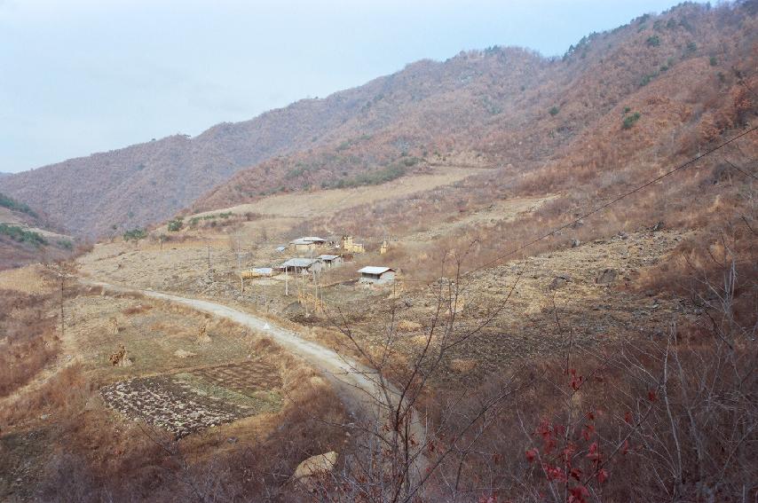 봉오리 밭돌줍기 전.후 의 사진