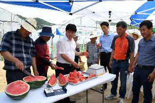 2017 고품질 수박 재배단지 조성사업 평가회 사진