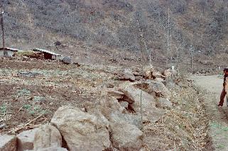 봉오리 밭돌줍기 전.후 의 사진