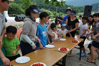 토마토 축제 행사 사진