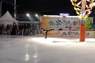 2013 대한빙상경기연맹 피겨팀 공연 의 사진