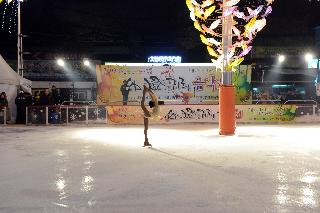2013 대한빙상경기연맹 피겨팀 공연 의 사진